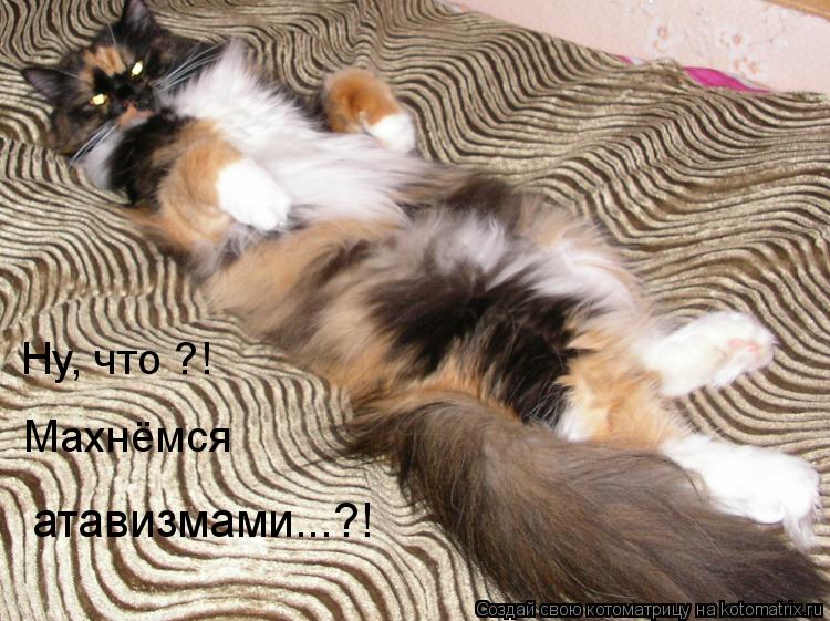 Ну, что ?! Махнёмся атавизмами...?!... Котоматрица: Ну, что ?! Махнёмся атавизмами...?!