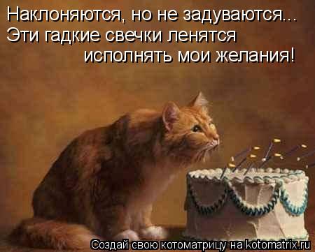 Наклоняются, но не задуваются... Эти гадкие свечки ленятся исполнять мои желания!... Котоматрица: Наклоняются, но не задуваются... Эти гадкие свечки ленятся исполнять мои желания!