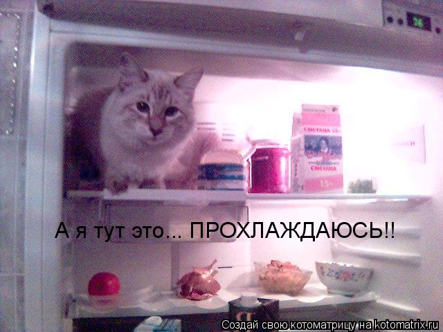 А я тут это... ПРОХЛАЖДАЮСЬ!!... Котоматрица: А я тут это... ПРОХЛАЖДАЮСЬ!!