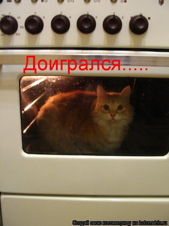 Доигрался........ Котоматрица: Доигрался.....