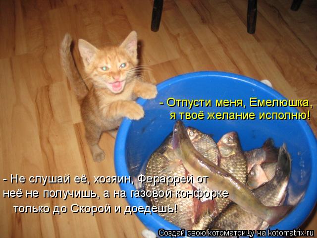 - Отпусти меня, Емелюшка, я твоё желание исполню! - Не слушай её, хозяин, Фераррей от неё не получиш... Котоматрица: - Отпусти меня, Емелюшка, я твоё желание исполню! - Не слушай её, хозяин, Фераррей от неё не получишь, а на газовой конфорке только до Скорой и
