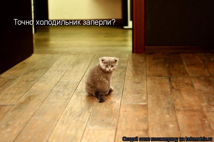 Точно холодильник заперли?... Котоматрица: Точно холодильник заперли?