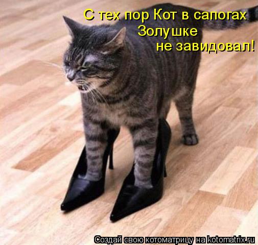 Котоматрица: Золушке не завидовал! С тех пор Кот в сапогах