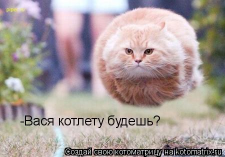 -Вася котлету будешь?... Котоматрица: -Вася котлету будешь?