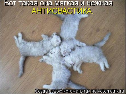 Вот такая она,мягкая и нежная АНТИСВАСТИКА.... Котоматрица: Вот такая она,мягкая и нежная АНТИСВАСТИКА.