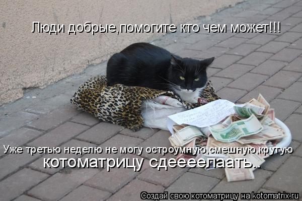 Люди добрые,помогите кто чем может!!! Уже третью неделю не могу остроумную,смешную,крутую котоматрицу... Котоматрица: Люди добрые,помогите кто чем может!!! Уже третью неделю не могу остроумную,смешную,крутую котоматрицу сдеееелаать..