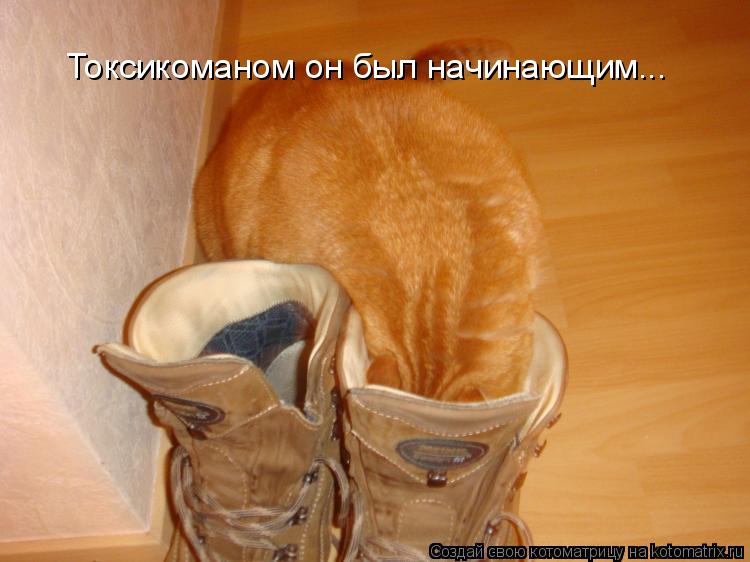 Токсикоманом он был начинающим...... Котоматрица: Токсикоманом он был начинающим...