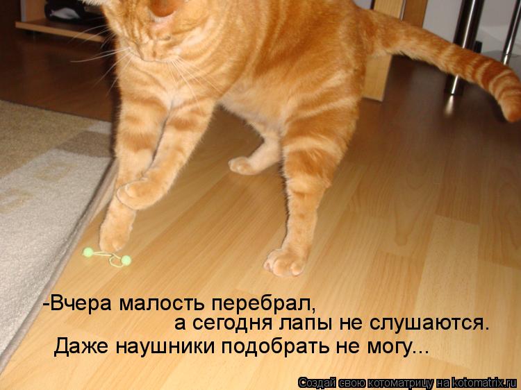 -Вчера малость перебрал, а сегодня лапы не слушаются. Даже наушники подобрать не могу...... Котоматрица: -Вчера малость перебрал, а сегодня лапы не слушаются. Даже наушники подобрать не могу...