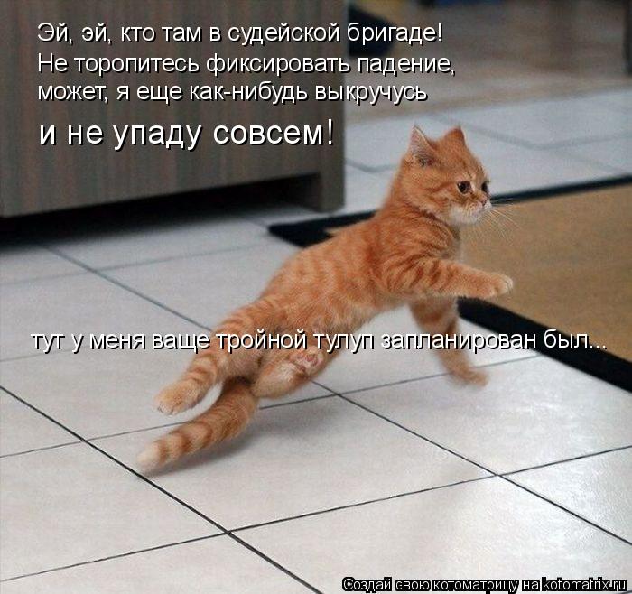 Котоматрица: Эй, эй, кто там в судейской бригаде! Не торопитесь фиксировать падение, может, я еще как-нибудь выкручусь и не упаду совсем! тут у меня ваще тр
