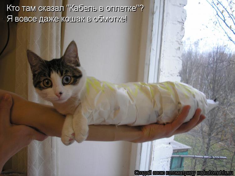 Котоматрица: Кто там сказал "Кабель в оплетке"? Я вовсе даже кошак в обмотке!