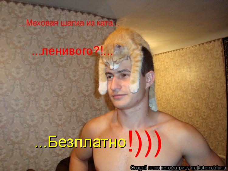Котоматрица: ...Меховая шапка из ката... ...ленивого?!... ...Безплатно !)))