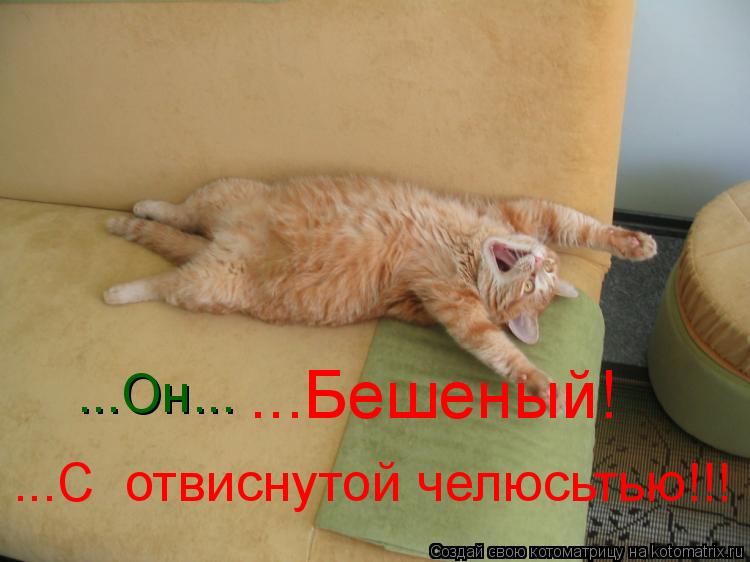 ...Он... ...Бешеный! ...С отвиснутой челюсьтью!!!... Котоматрица: ...Он... ...Бешеный! ...С отвиснутой челюсьтью!!!