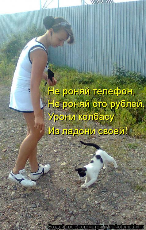 Не роняй телефон, Не роняй сто рублей, Урони колбасу Из ладони своей!... Котоматрица: Не роняй телефон, Не роняй сто рублей, Урони колбасу Из ладони своей!