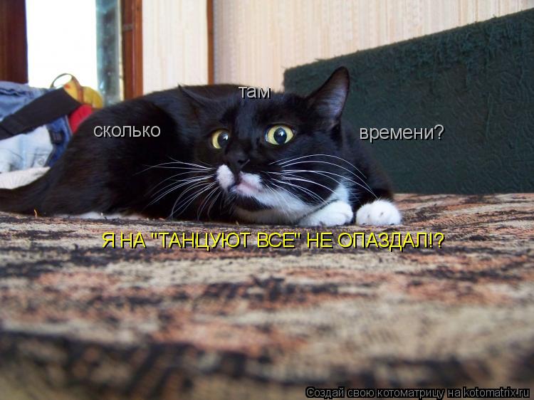 сколько там времени? Я НА "ТАНЦУЮТ ВСЕ" НЕ ОПАЗДАЛ!?... Котоматрица: сколько там времени? Я НА "ТАНЦУЮТ ВСЕ" НЕ ОПАЗДАЛ!?