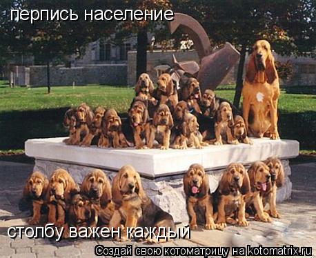 перпись население столбу важен каждый... Котоматрица: перпись население столбу важен каждый