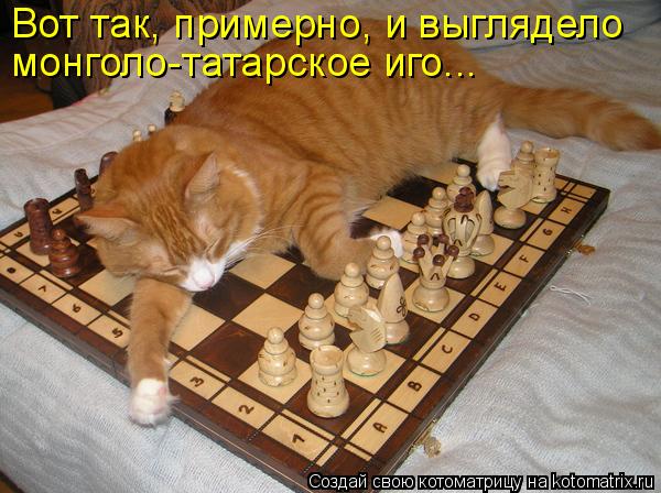 Вот так, примерно, и выглядело монголо-татарское иго...... Котоматрица: Вот так, примерно, и выглядело монголо-татарское иго...