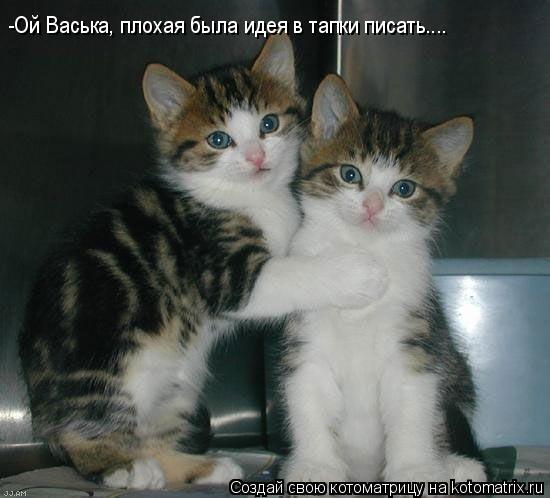 -Ой Васька, плохая была идея в тапки писать....... Котоматрица: -Ой Васька, плохая была идея в тапки писать....