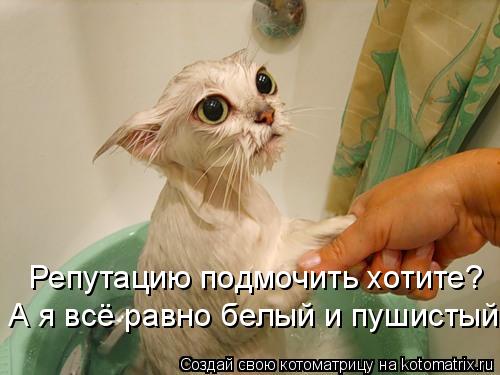 А я всё равно белый и пушистый Репутацию подмочить хотите?... Котоматрица: А я всё равно белый и пушистый Репутацию подмочить хотите?