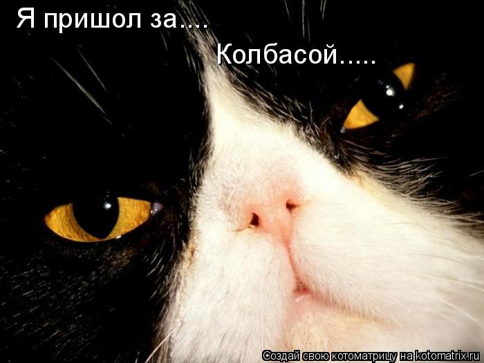 Я пришол за.... Колбасой........ Котоматрица: Я пришол за.... Колбасой.....