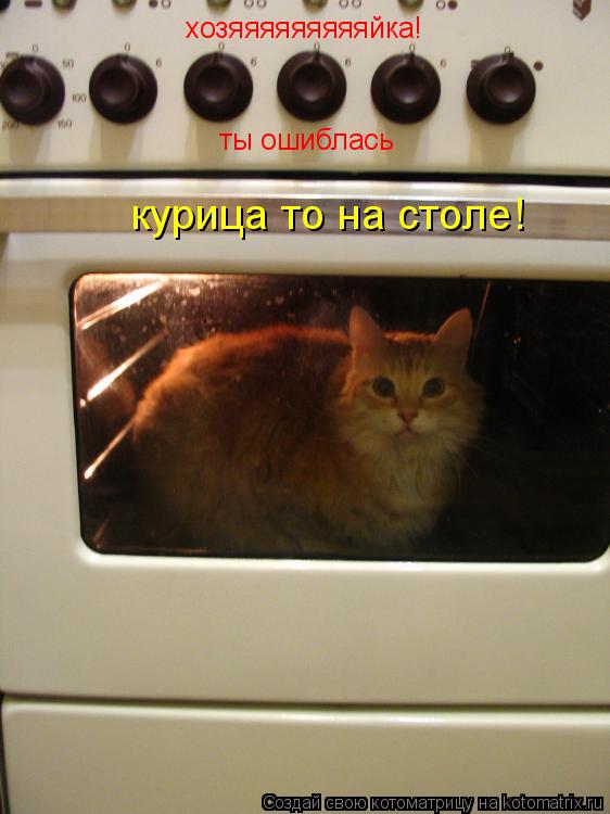 хозяяяяяяяяяйка! ты ошиблась курица то на столе!... Котоматрица: хозяяяяяяяяяйка! ты ошиблась курица то на столе!