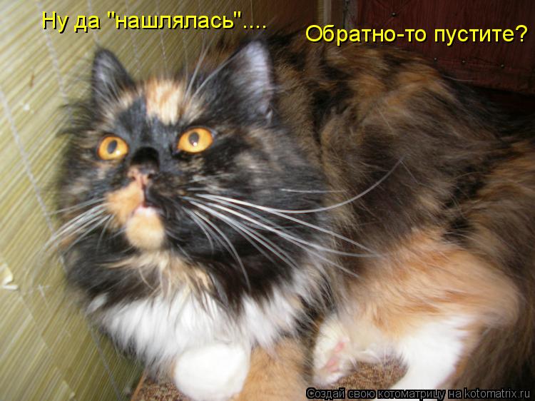 Ну да "нашлялась".... Обратно-то пустите?... Котоматрица: Ну да "нашлялась".... Обратно-то пустите?
