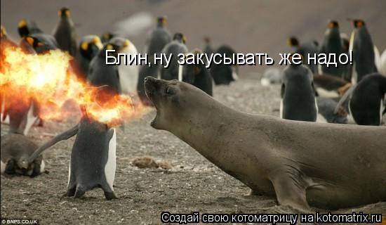 Блин,ну закусывать же надо!... Котоматрица: Блин,ну закусывать же надо!