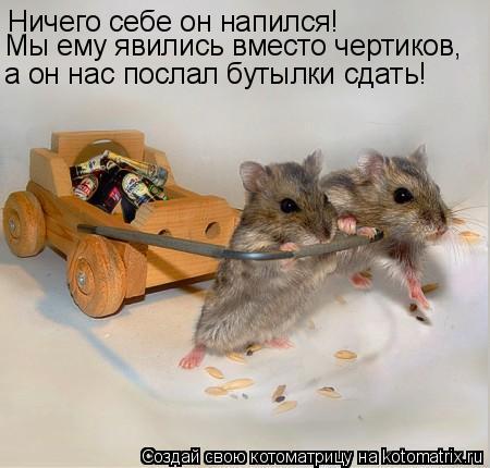 Ничего себе он напился! а он нас послал бутылки сдать! Мы ему явились вместо чертиков,... Котоматрица: Ничего себе он напился! а он нас послал бутылки сдать! Мы ему явились вместо чертиков,