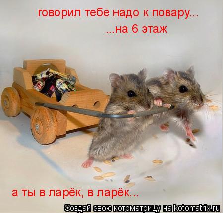 ...на 6 этаж говорил тебе надо к повару... а ты в ларёк, в ларёк...... Котоматрица: ...на 6 этаж говорил тебе надо к повару... а ты в ларёк, в ларёк...