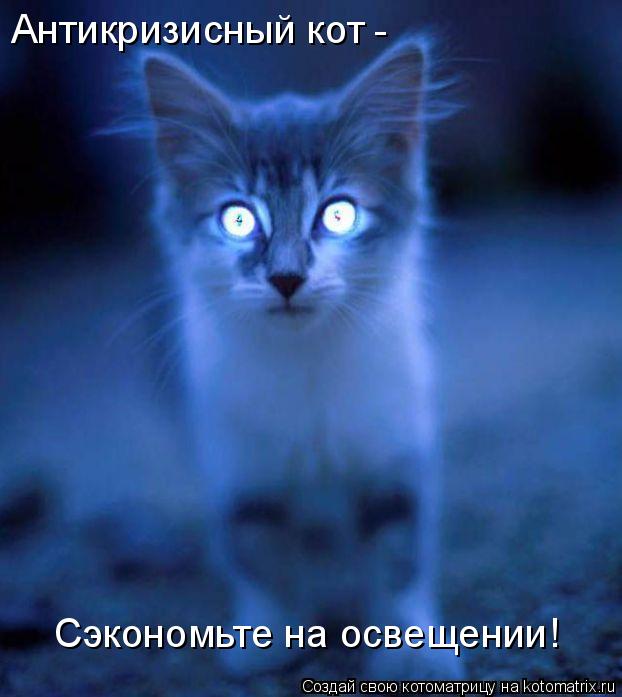 Антикризисный кот - Сэкономьте на освещении!... Котоматрица: Антикризисный кот - Сэкономьте на освещении!