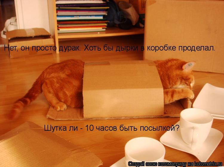 Нет, он просто дурак. Хоть бы дырки в коробке проделал. Шутка ли - 10 часов быть посылкой?... Котоматрица: Нет, он просто дурак. Хоть бы дырки в коробке проделал. Шутка ли - 10 часов быть посылкой?