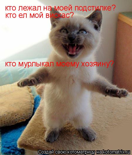 кто лежал на моей подстилке? кто ел мой вискас? кто мурлыкал моему хозяину?... Котоматрица: кто лежал на моей подстилке? кто ел мой вискас? кто мурлыкал моему хозяину?