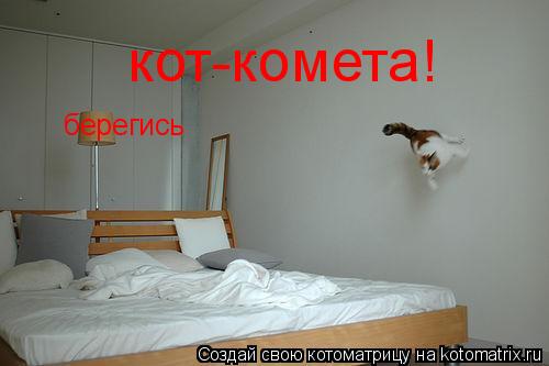 кот-комета! берегись... Котоматрица: кот-комета! берегись
