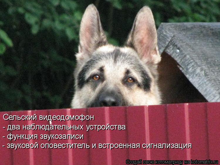 Сельский видеодомофон - два наблюдательных устройства - функция звукозаписи - звуковой оповеститель и... Котоматрица: Сельский видеодомофон - два наблюдательных устройства - функция звукозаписи - звуковой оповеститель и встроенная сигнализация