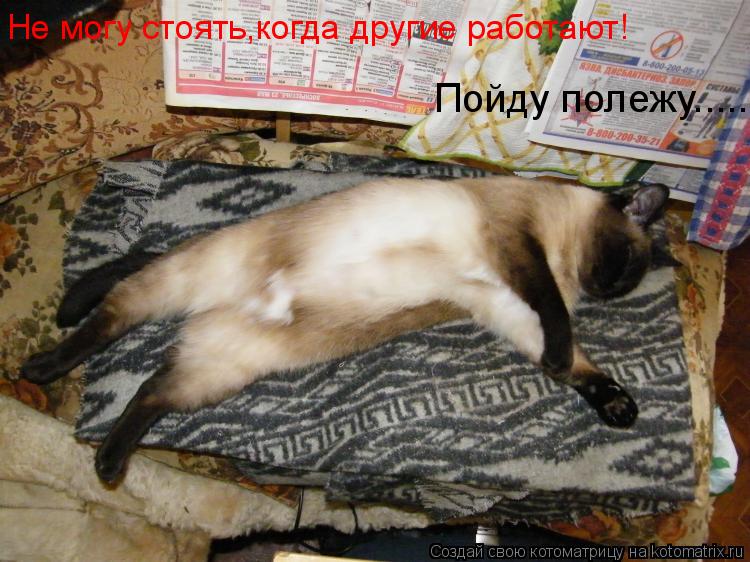 Не могу стоять,когда другие работают! Пойду полежу........ Котоматрица: Не могу стоять,когда другие работают! Пойду полежу.....