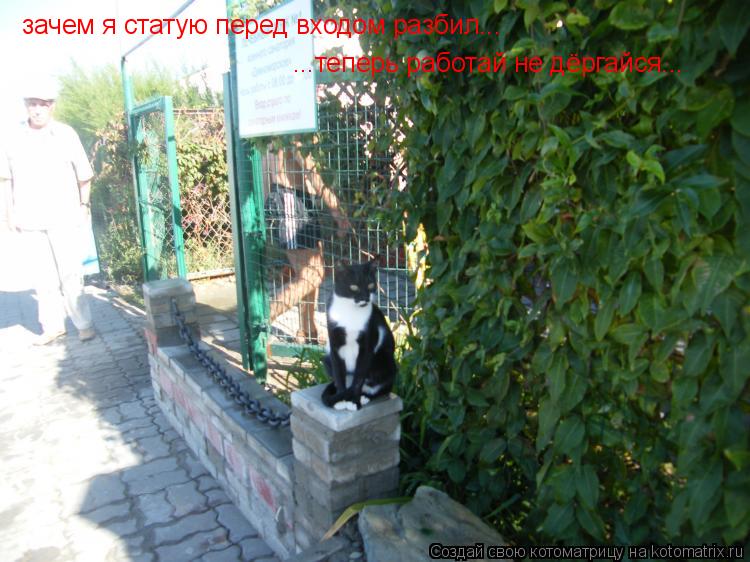 зачем я статую перед входом разбил... ...теперь работай не дёргайся...... Котоматрица: зачем я статую перед входом разбил... ...теперь работай не дёргайся...