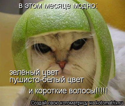 в этом месяце модно: зелёный цвет пушисто-белый цвет и короткие волосы!!!!!... Котоматрица: в этом месяце модно: зелёный цвет пушисто-белый цвет и короткие волосы!!!!!