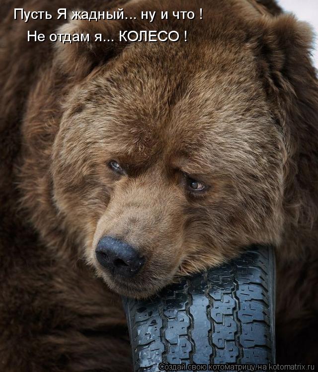 Котоматрица: Пусть Я жадный... ну и что ! Не отдам я... КОЛЕСО !
