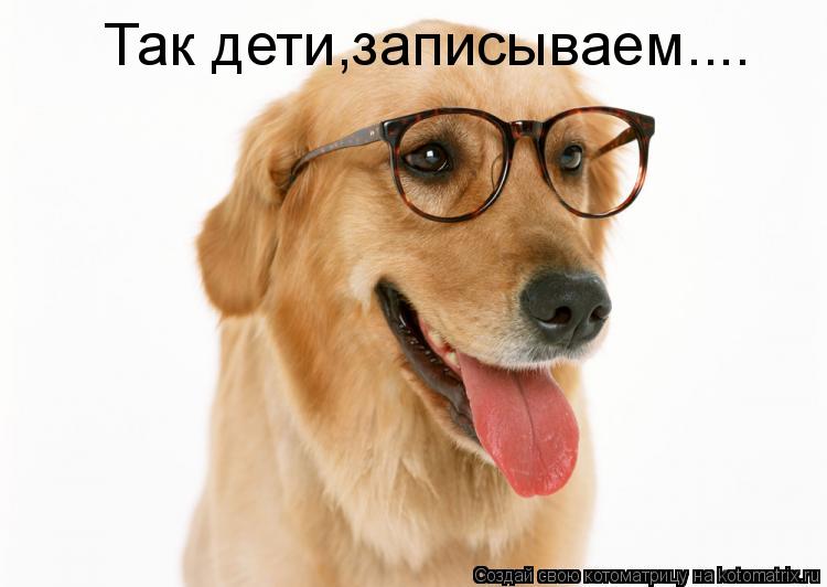 Котоматрица: Так дети,записываем....