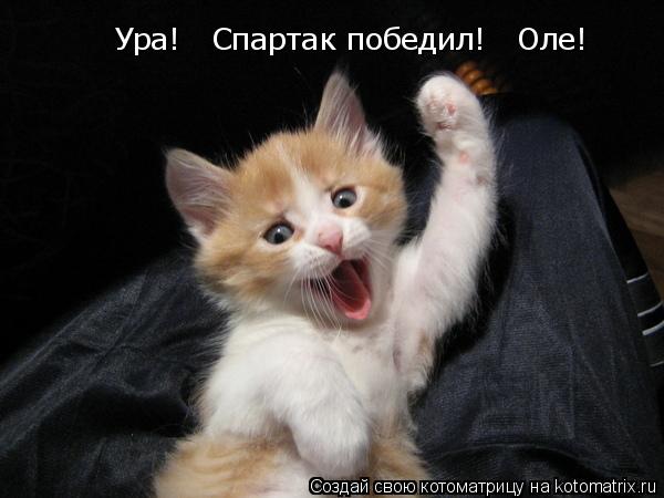 Ура! Спартак победил! Оле!... Котоматрица: Ура! Спартак победил! Оле!