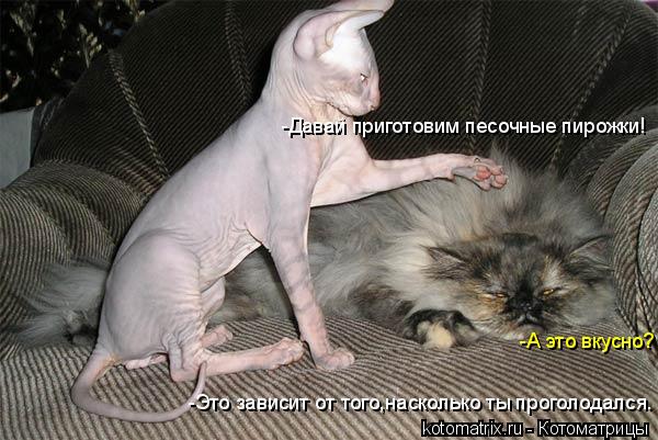 -Давай приготовим песочные пирожки! -А это вкусно? -Это зависит от того,насколько ты проголодался.... Котоматрица: -Давай приготовим песочные пирожки! -А это вкусно? -Это зависит от того,насколько ты проголодался.