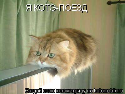 Я КОТЭ-ПОЕЗД... Котоматрица: Я КОТЭ-ПОЕЗД