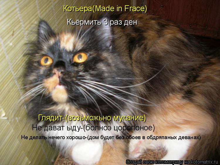 Котьера(Made in Frace) Кьёрмить 3 раз ден Глядит-(возьможьно мукание) Не дават ыду-(болноэ цоропоное)... Котоматрица: Котьера(Made in Frace) Кьёрмить 3 раз ден Глядит-(возьможьно мукание) Не дават ыду-(болноэ цоропоное) Не делать нечего хорошо-(дом будет без обоев в