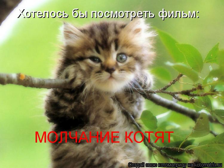Хотелось бы посмотреть фильм: МОЛЧАНИЕ КОТЯТ... Котоматрица: Хотелось бы посмотреть фильм: МОЛЧАНИЕ КОТЯТ