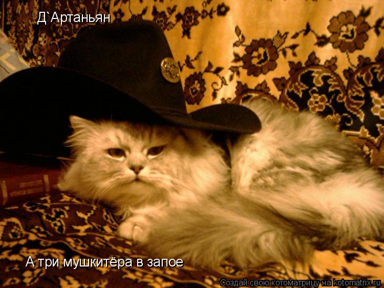 Д`Артаньян А три мушкитёра в запое... Котоматрица: Д`Артаньян А три мушкитёра в запое