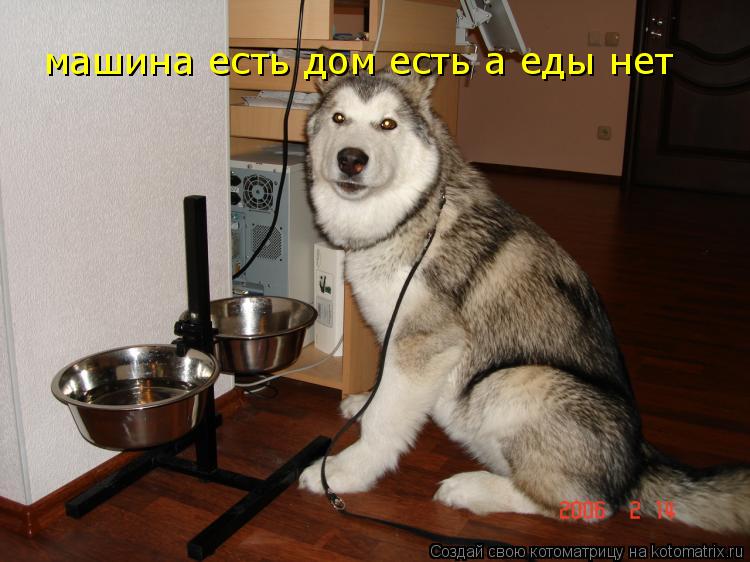 машина есть дом есть а еды нет... Котоматрица: машина есть дом есть а еды нет
