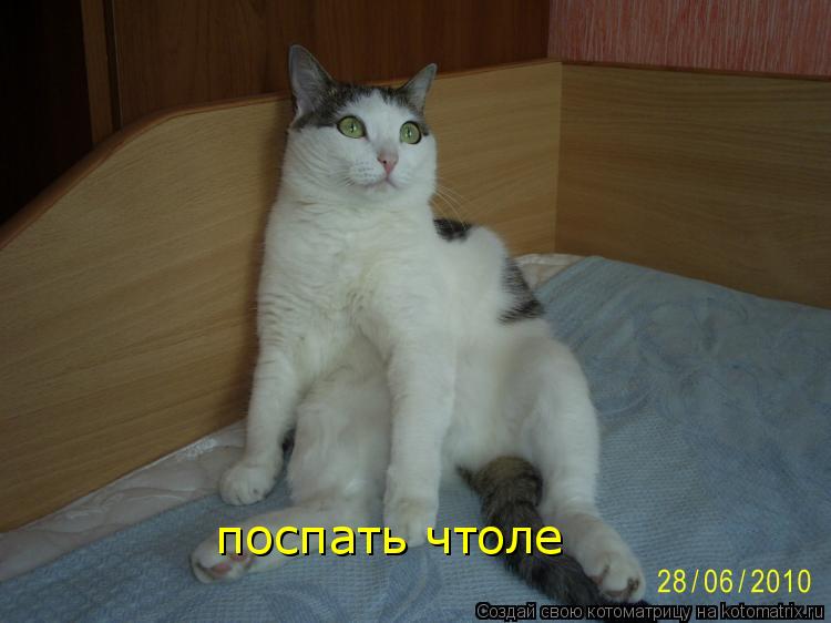 поспать чтоле... Котоматрица: поспать чтоле