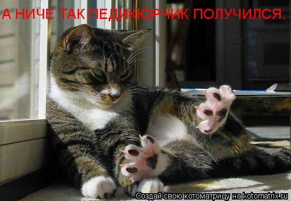 А НИЧЕ ТАК ПЕДИКЮРЧИК ПОЛУЧИЛСЯ.... Котоматрица: А НИЧЕ ТАК ПЕДИКЮРЧИК ПОЛУЧИЛСЯ.