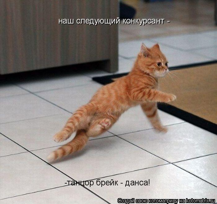 наш следующий конкурсант - -танцор брейк - данса!... Котоматрица: наш следующий конкурсант - -танцор брейк - данса!
