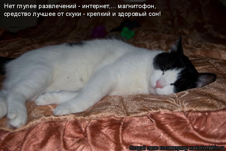Котоматрица: Нет глупее развлечений - интернет,... магнитофон, средство лучшее от скуки - крепкий и здоровый сон!