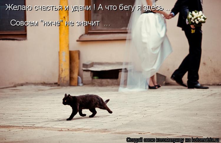 Желаю счастья и удачи ! А что бегу я здесь ... Совсем "ничё" не значит ...... Котоматрица: Желаю счастья и удачи ! А что бегу я здесь ... Совсем "ничё" не значит ...